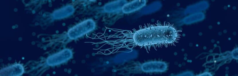Legionella